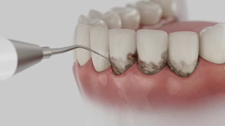 Reliable Dental contractor in Shaw Heights, CO by Dentist Open Now
